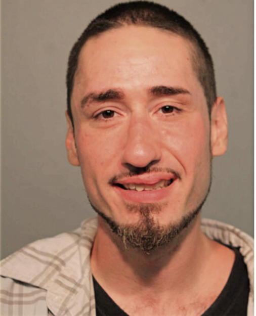 WILLIAM A DAFNIS, Cook County, Illinois