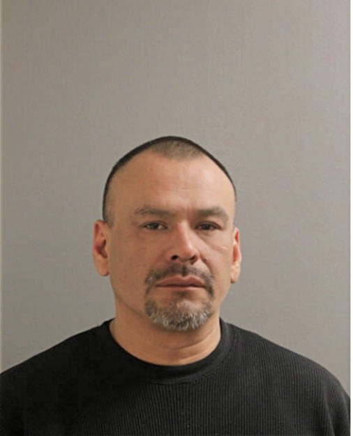 LUCIANO T DELEON, Cook County, Illinois