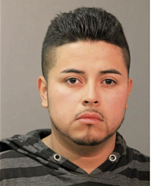 DARIO GARCIA, Cook County, Illinois