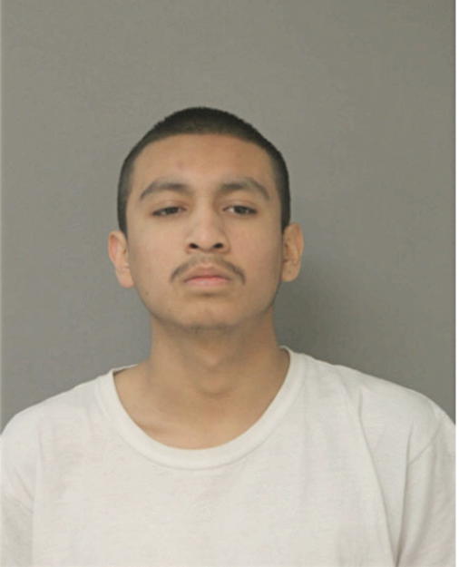 JESUS GONZALEZ, Cook County, Illinois