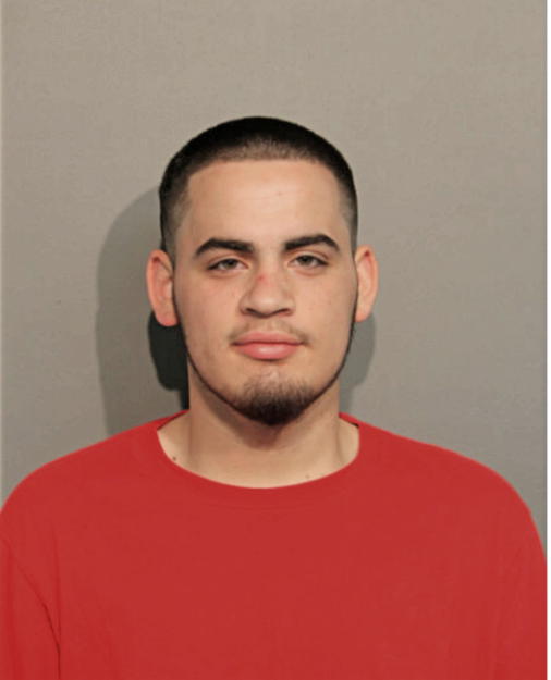 ERIC A GUEDES, Cook County, Illinois