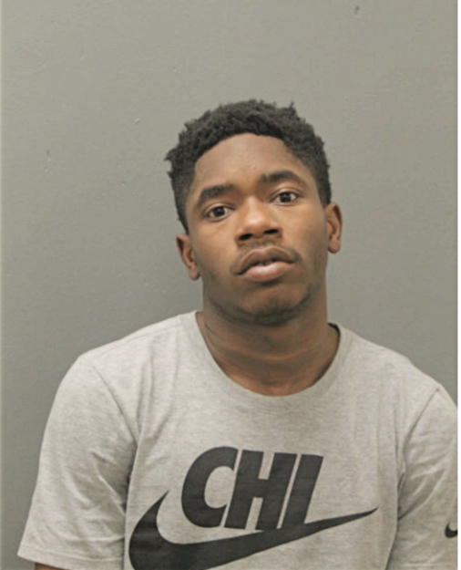 MICHAEL M HENDERSON, Cook County, Illinois
