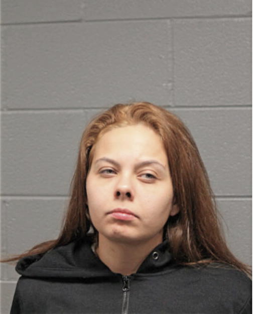 DANIELLE R HOLLOWELL, Cook County, Illinois