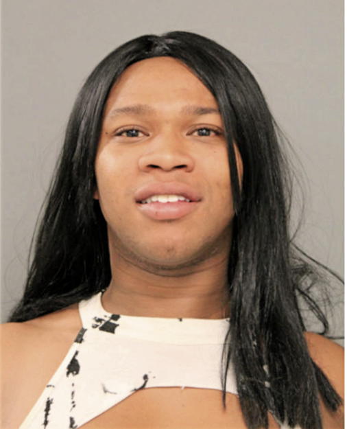 JEFFREY J HOLMES, Cook County, Illinois