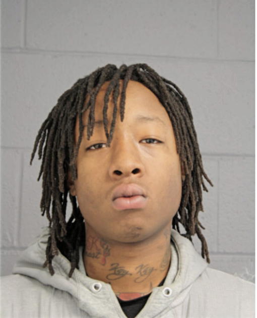 AARON A MCGAHA, Cook County, Illinois