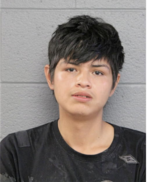JOAQUIN MEDINA, Cook County, Illinois