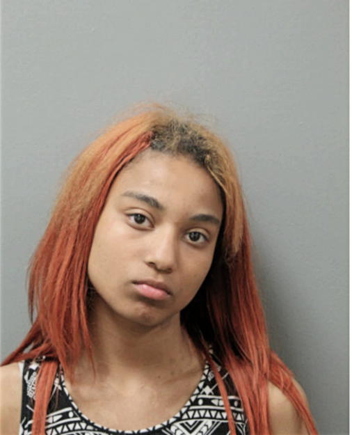 ASHLEE S MORRIS, Cook County, Illinois