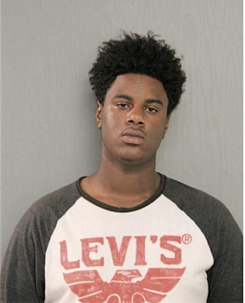 KIRK C NEAL, Cook County, Illinois
