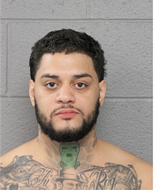 NICOLAS DION ORTIZ, Cook County, Illinois