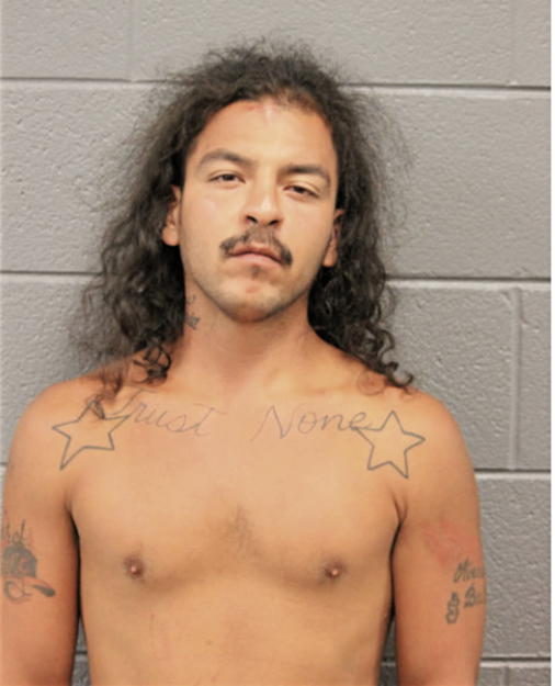 MICHAEL PADILLA, Cook County, Illinois