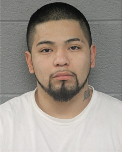 ADAN PALACIOS, Cook County, Illinois