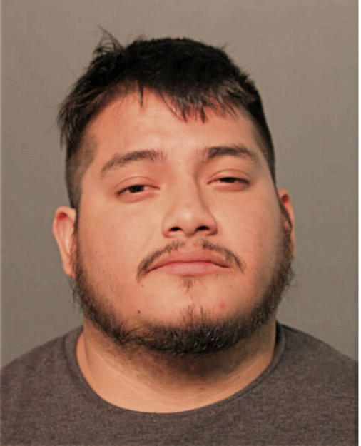 LUIS A PATRICIO-ORTEGA, Cook County, Illinois