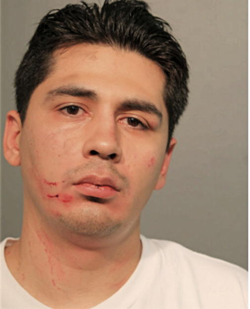 EDUARDO PECINA, Cook County, Illinois