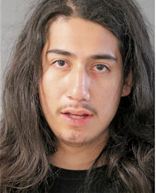 ALEXANDER PEDRO, Cook County, Illinois
