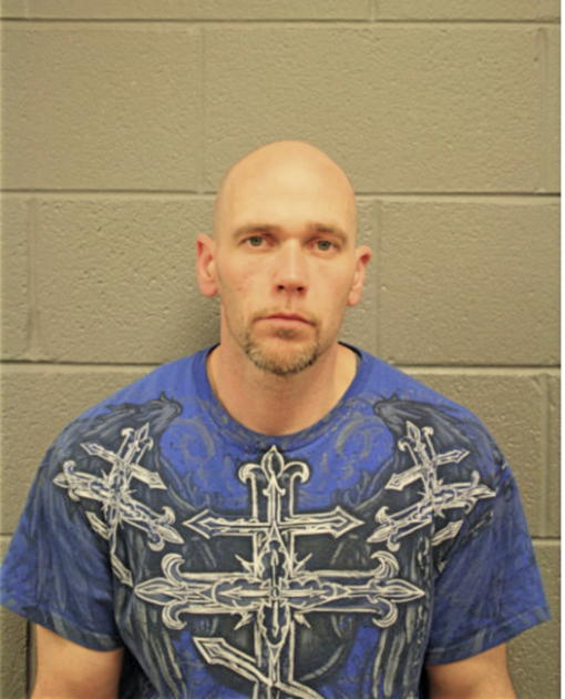 NICHOLAS W ROBERTSON, Cook County, Illinois