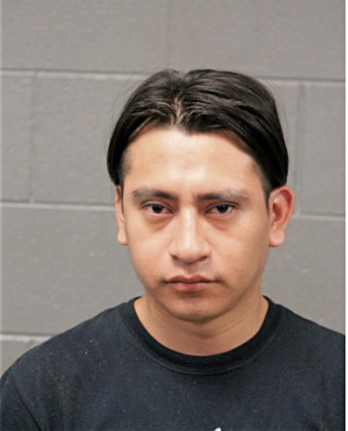 FLORIBERTO ROMAN, Cook County, Illinois