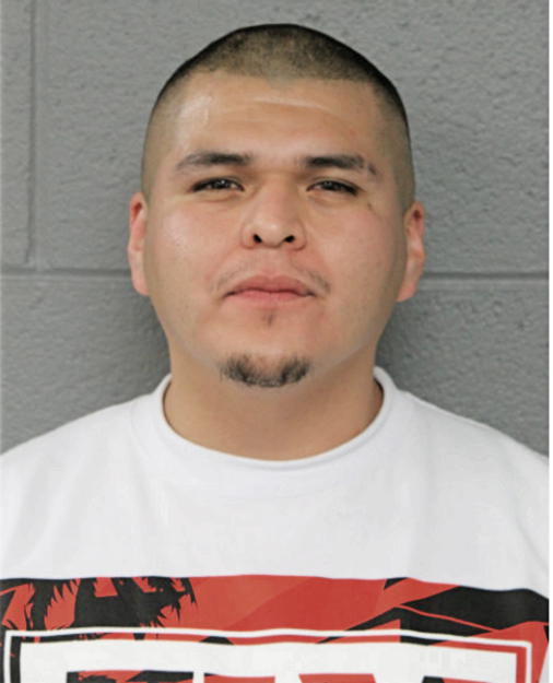 ANTHONY SENDEJAS, Cook County, Illinois