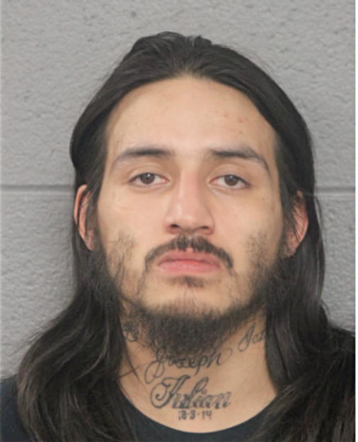 JULIAN A VELA, Cook County, Illinois