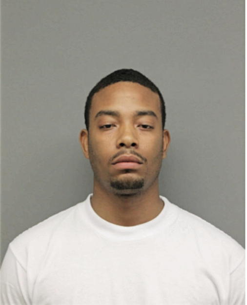 LESTER L WILLIAMS, Cook County, Illinois