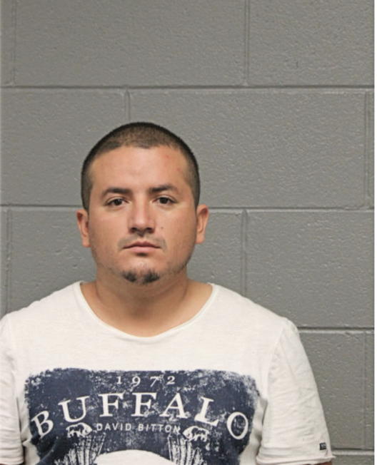 JOSE D ZARAGOZA, Cook County, Illinois