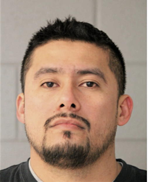 FRANCISCO C BAHENA, Cook County, Illinois