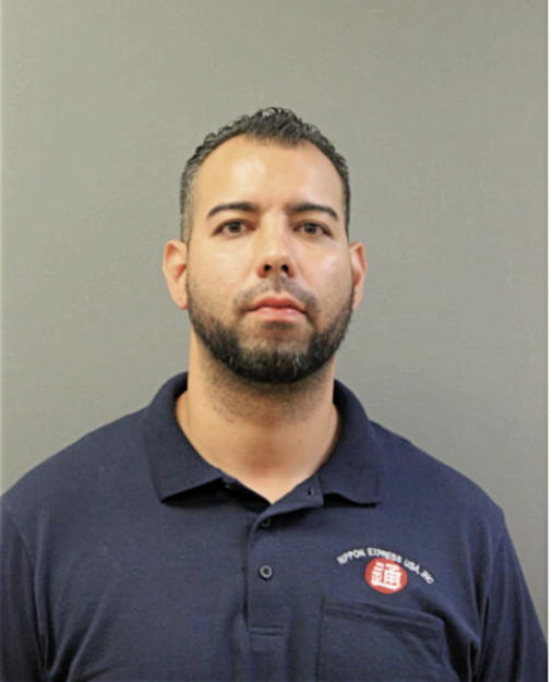 ANGEL L BORRERO, Cook County, Illinois