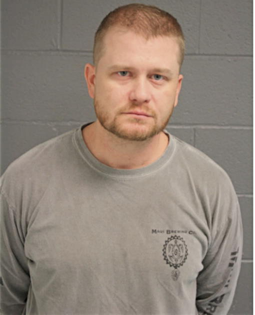 WILLIAM S BOWERS, Cook County, Illinois