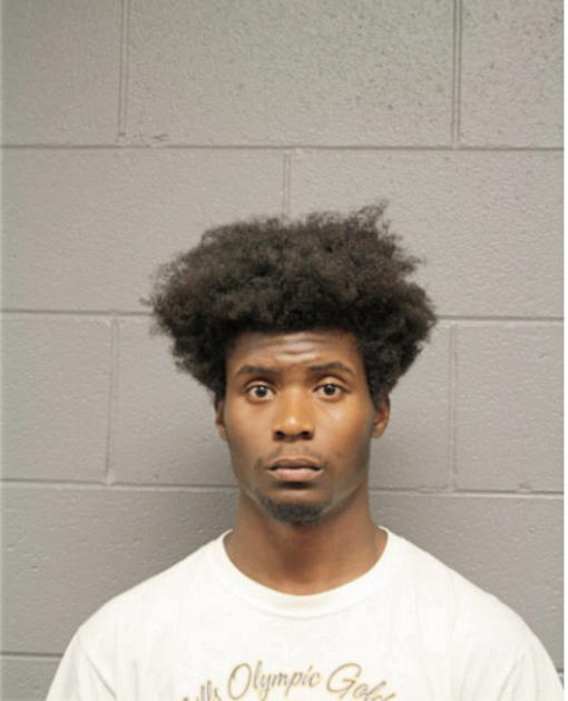WALTER L CARSON, Cook County, Illinois
