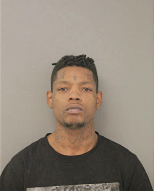 DESMOND D FREEMAN, Cook County, Illinois