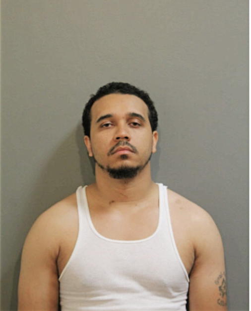 ANDREW L GARRIOTT, Cook County, Illinois