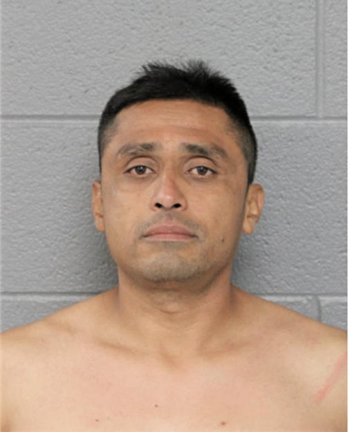 CARLOS GONZALEZ, Cook County, Illinois