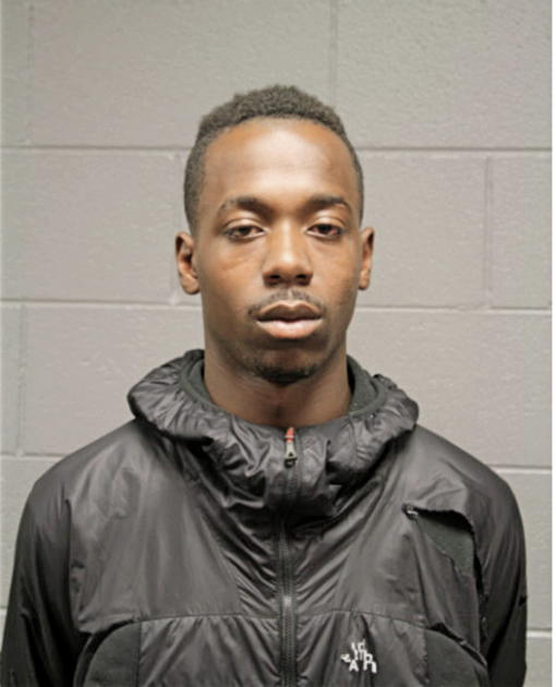 CHRISTOPHER D HAMILTON, Cook County, Illinois