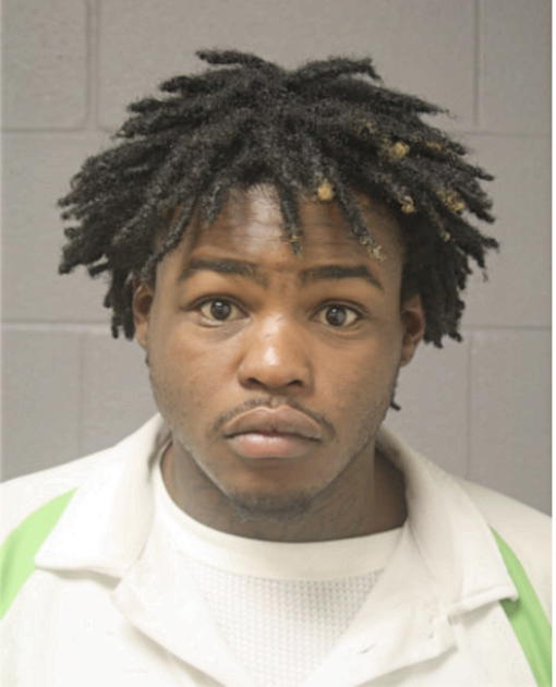JESSE L HARRISON, Cook County, Illinois
