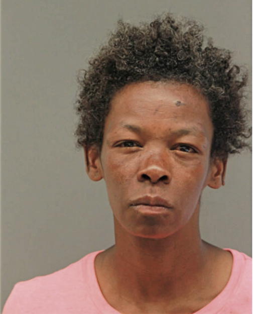 YVONNE R HAYES, Cook County, Illinois
