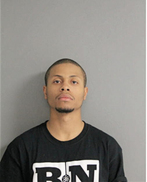DARNELL L JOHNSON, Cook County, Illinois
