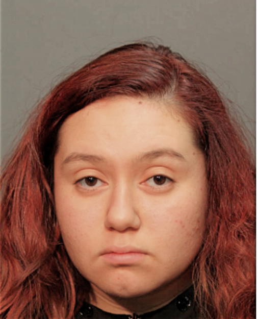 VANESSA LAGUNAS, Cook County, Illinois