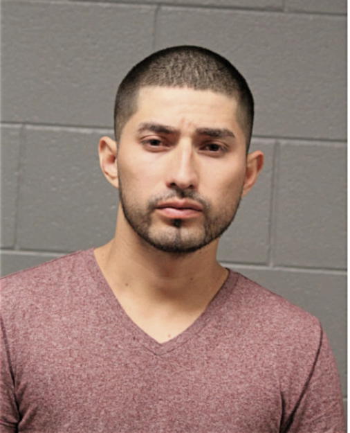 OMAR LANDA, Cook County, Illinois