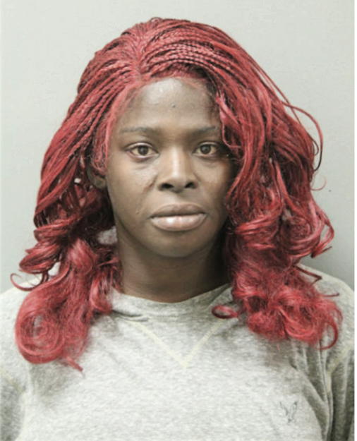RACHEL D LEMMONS, Cook County, Illinois