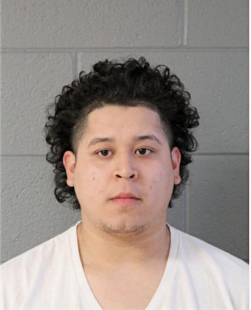 GABRIEL D MORENO, Cook County, Illinois