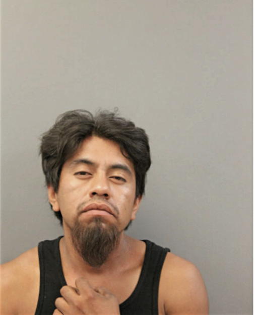 FELIPE PACHECO-JIMENEZ, Cook County, Illinois