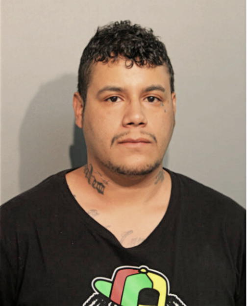 FERNANDO PEREZ, Cook County, Illinois