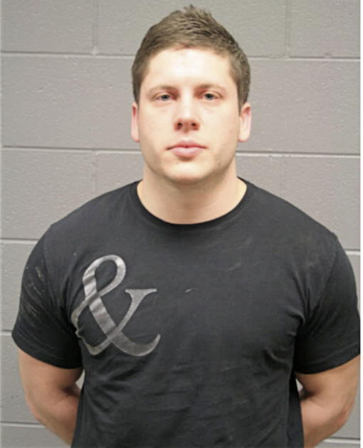 BRIAN G PIENTKA, Cook County, Illinois