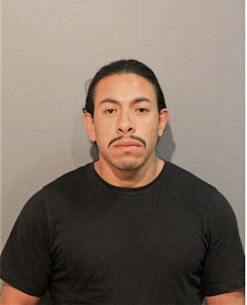 LEOPOLDO REYES, Cook County, Illinois