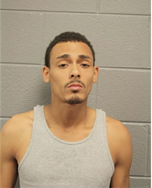 RANDALL W RHODES, Cook County, Illinois