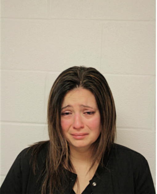 STEPHANIE A RISTIN, Cook County, Illinois