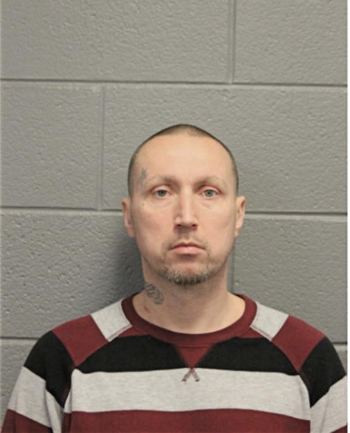 PAUL J ROWSEY, Cook County, Illinois