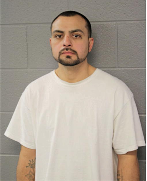 ARTURO RUIZ, Cook County, Illinois