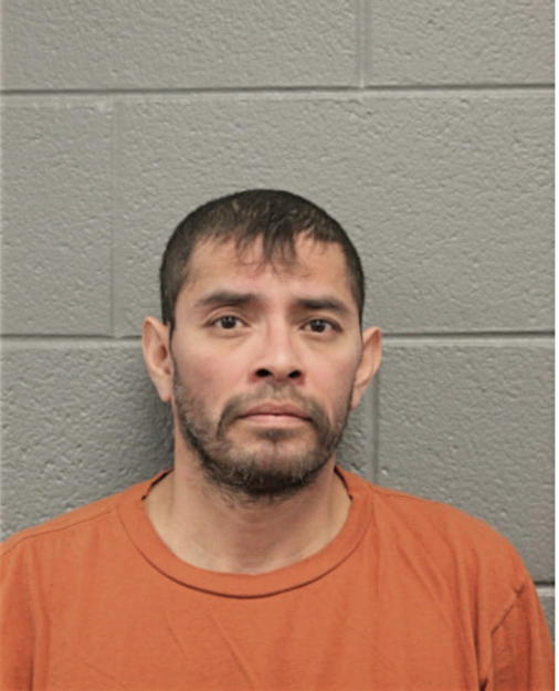 JULIAN J SALGADO, Cook County, Illinois