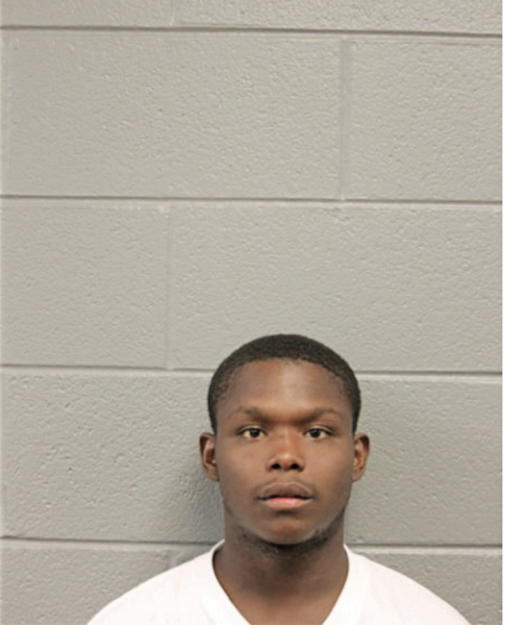 DEANDRE J WILLIAMS, Cook County, Illinois