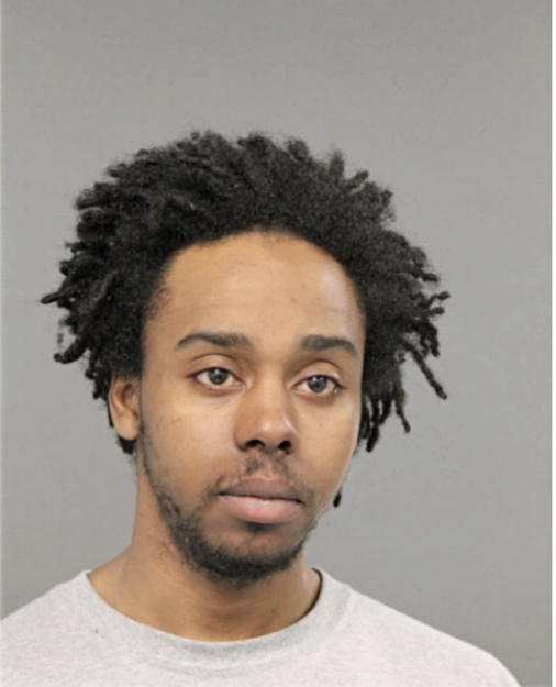 REGINALD R WILLIS, Cook County, Illinois